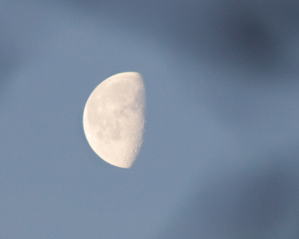 frosty-morning-2-7722