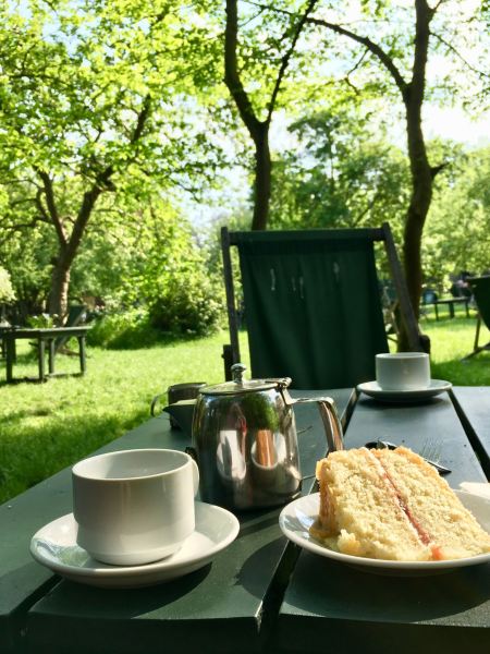 Fineshade Woods, Northamptonshire